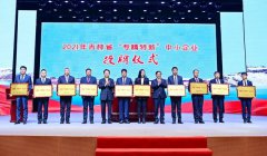  吉林省2022年计划认定省级“专精特新”中小企业350户 