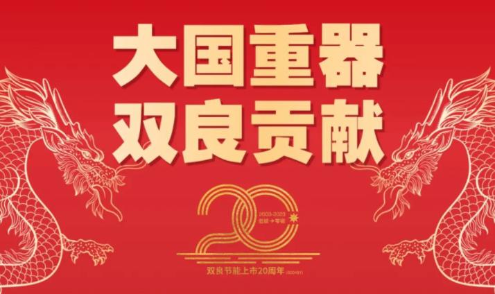  龙抬头 | 当好主力军 带好“双碳”头 为双良节能上市20周年献礼 