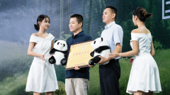  美的官宣认养大熊猫，为“渝可”“渝爱”送去“美好空气” 