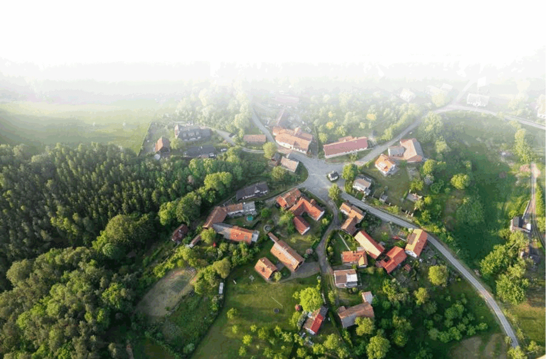  玩家招募丨共建“灵”碳家园，你准备好了吗？ 