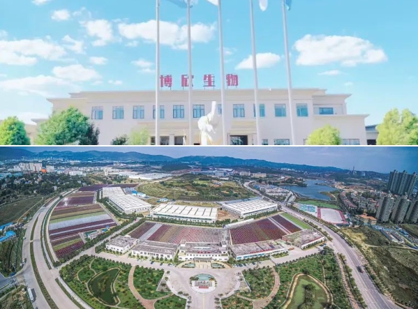  成功“牵手”博欣生物，盾安中央空调以专业产品为健康护航 