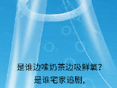  开利空气卷出新高度 