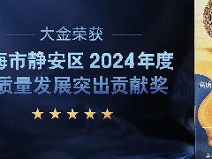 大金荣获上海市静安区“2024年度高质量发展突出贡献奖” 