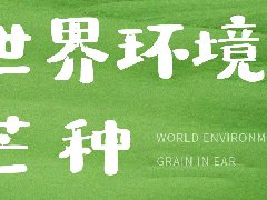  世界环境日 × 芒种 | 绿色青风，耕耘可持续未来 