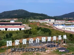  科技赋能养殖！盾安中央空调助力晋汾白猪繁育基地打造温暖家园 