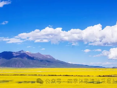  案例 | 节能63%！四季沐歌空气能为珠固乡明德小学供暖减负 