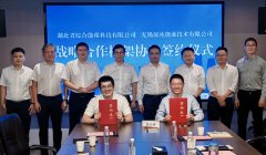  双良与湖北综合能碳公司达成战略合作，共启零碳发展新征程 