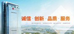  武汉建工：“134N”体系聚力，打造智能建造全场景解决方案 
